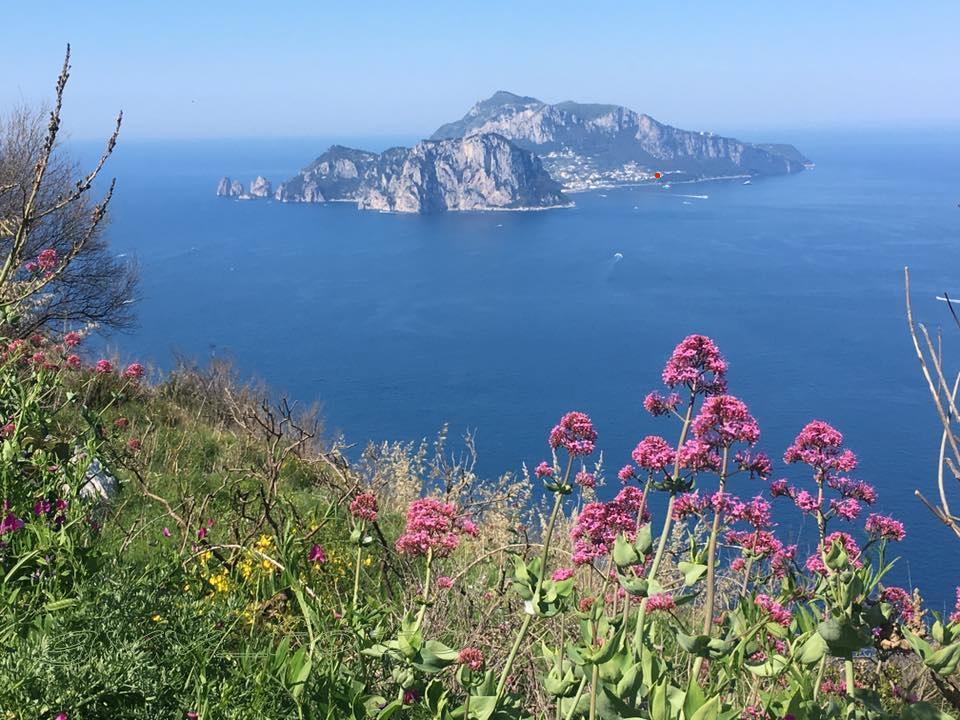 Albergo Italia - Vintage Hotel Capri Luaran gambar