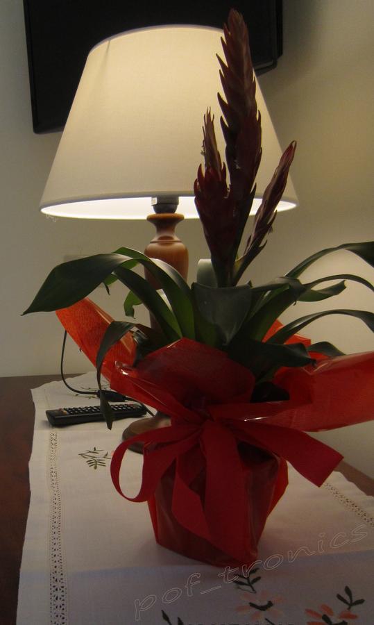 Albergo Italia - Vintage Hotel Capri Luaran gambar